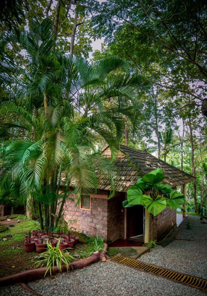 Vishram Village Varkala Eksteriør billede