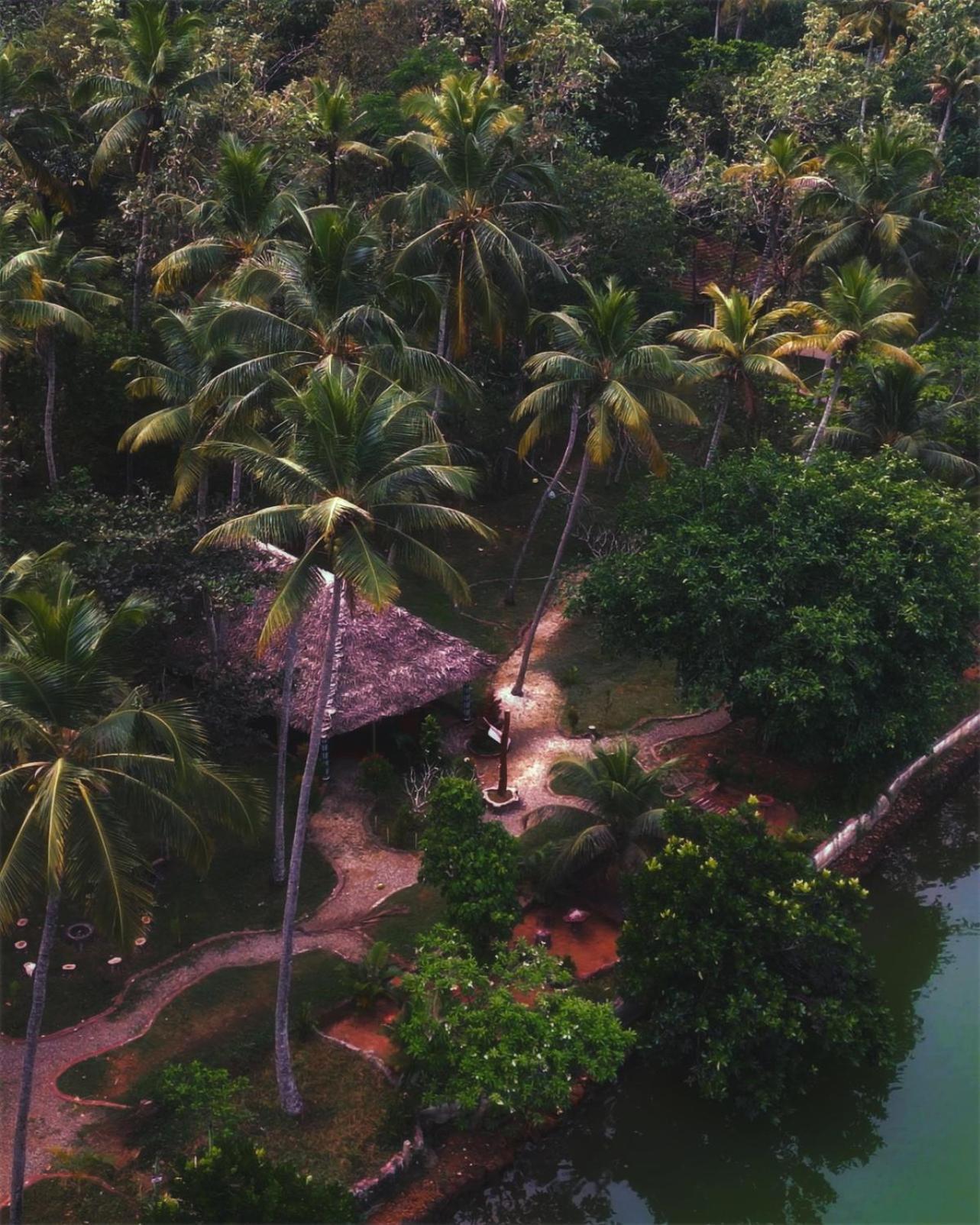 Vishram Village Varkala Eksteriør billede